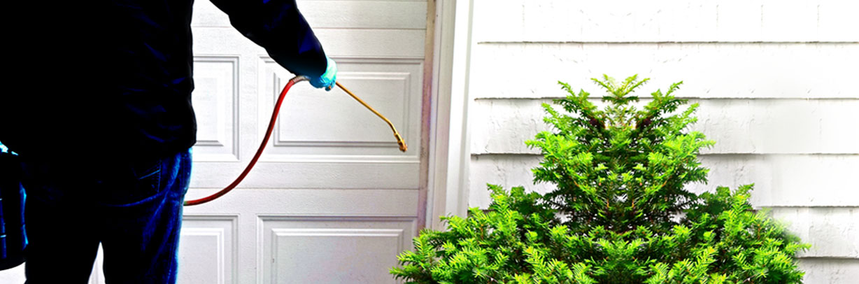 Good Day pest control