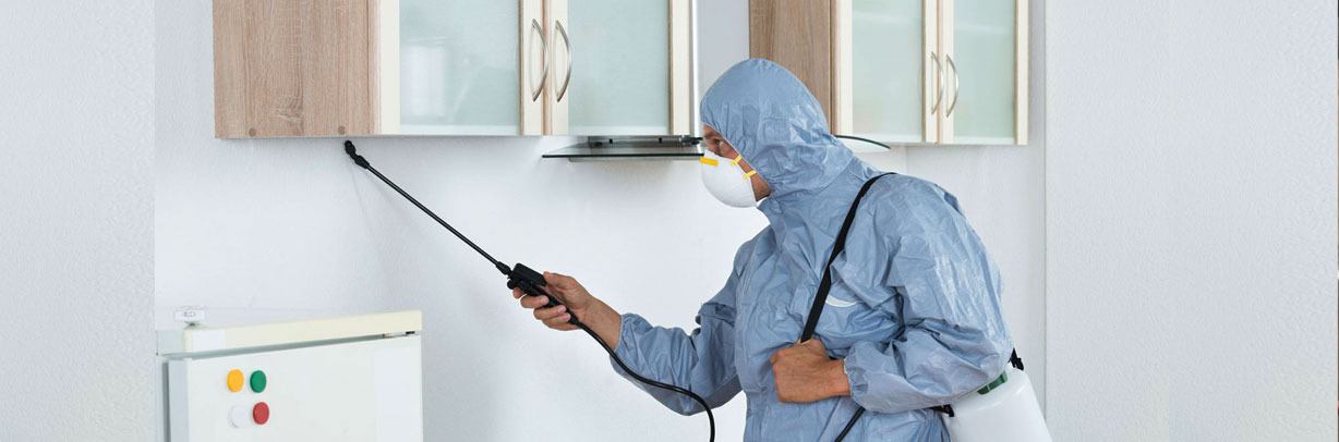 Good Day pest control